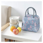 Insulated Lunch Bag with Spacious Storage & Double Handles – Portable Thermal Food Storage Bag for Office, School & Travel