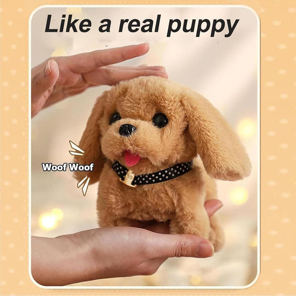 HUPLA Cute Puppy Dog Soft Toy | Fluffy Golden Brown Plush Puppy with Realistic Dog Design, Soft Fur & Decorative Collar | Stuffed Animal Toy for Kids & Gifting – 1 Pc