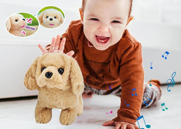 HUPLA Cute Puppy Dog Soft Toy | Fluffy Golden Brown Plush Puppy with Realistic Dog Design, Soft Fur & Decorative Collar | Stuffed Animal Toy for Kids & Gifting – 1 Pc