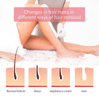 Professional Roll-On Wax Heater for Hair Removal | At-Home Body Waxing Kit for Legs, Arms, Chest & Back